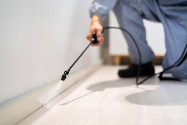 Licensed Termite Control service in New Burlington, OH - Show Me Pest Control