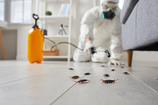 Commercial Rodent Management in New Burlington